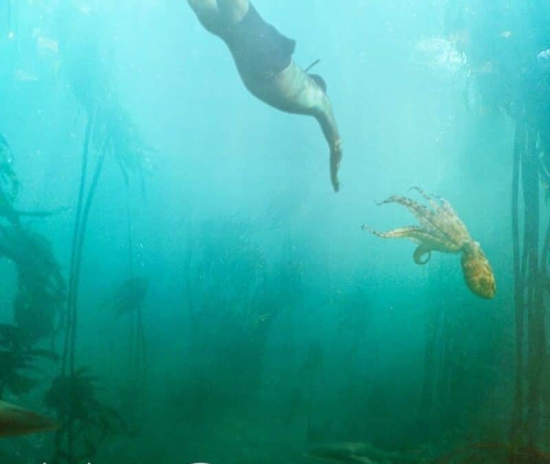 Wat we van de natuur kunnen leren…