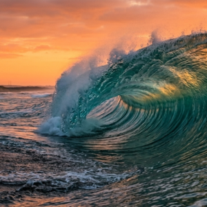 Check in wave