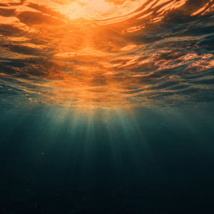 Deep Reset