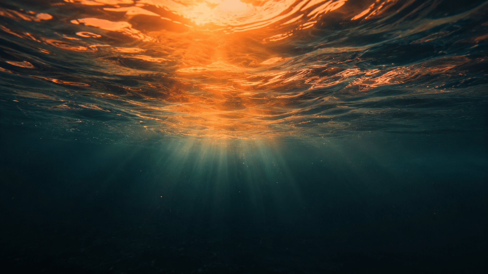 Deep Reset